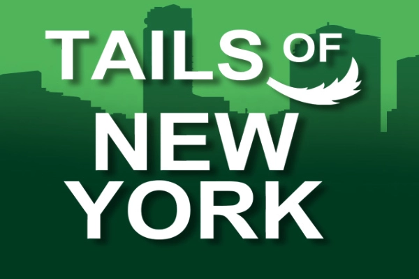 08740 tails of new york